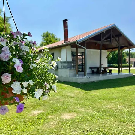 ем парадайс *